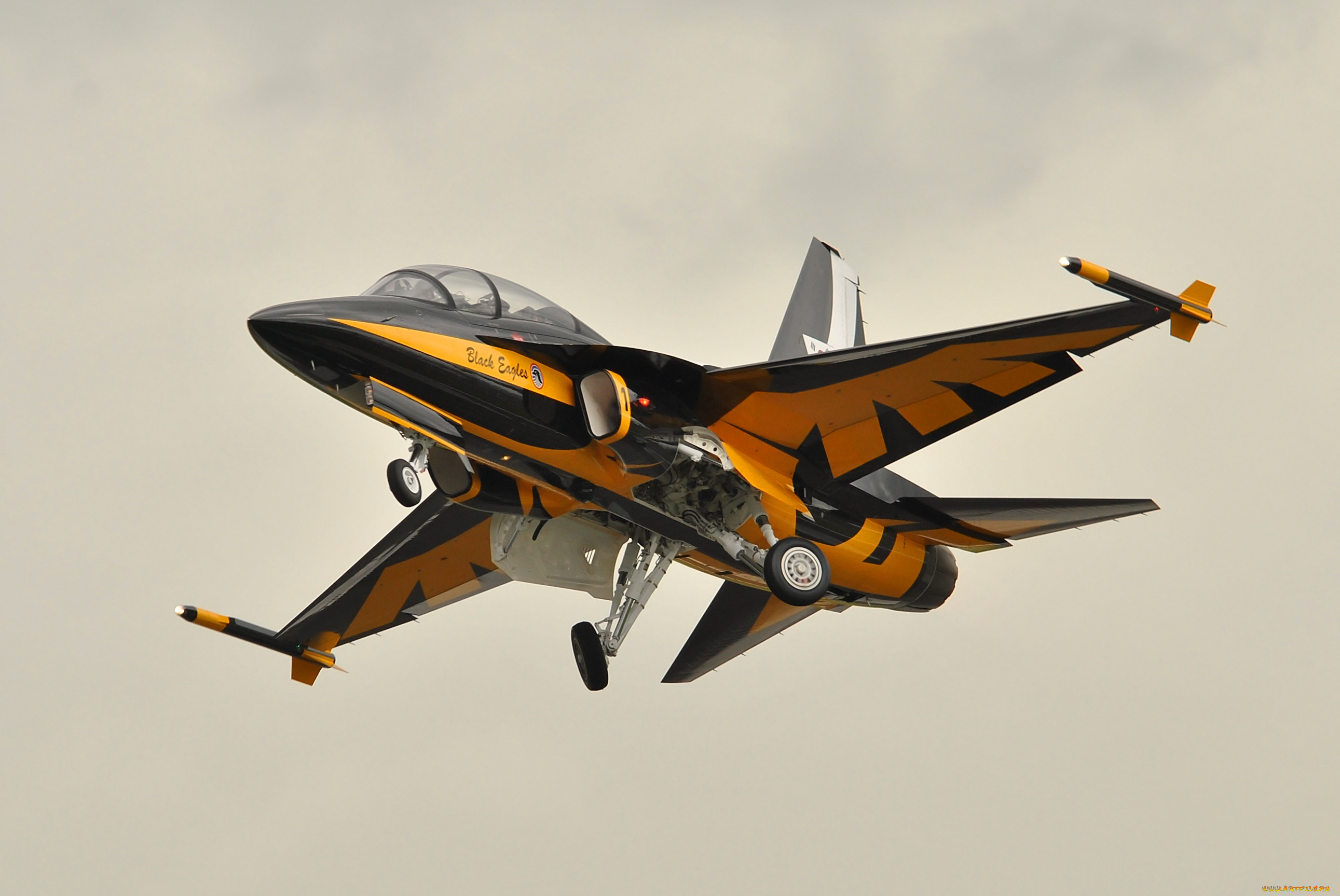 t50, trainer, farnborough, airshow, 2012, , , , , , , -